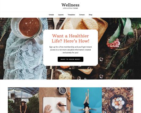 Wellness Pro Theme