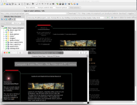 A1 Website Download 7.7.0 in Mac - viewing downloaded website