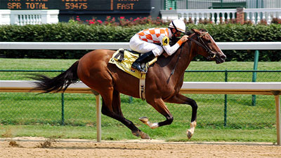 'Churchill Downs' by Jeff Kubina. Used under a Creative Commons license. racehorse in mid-run