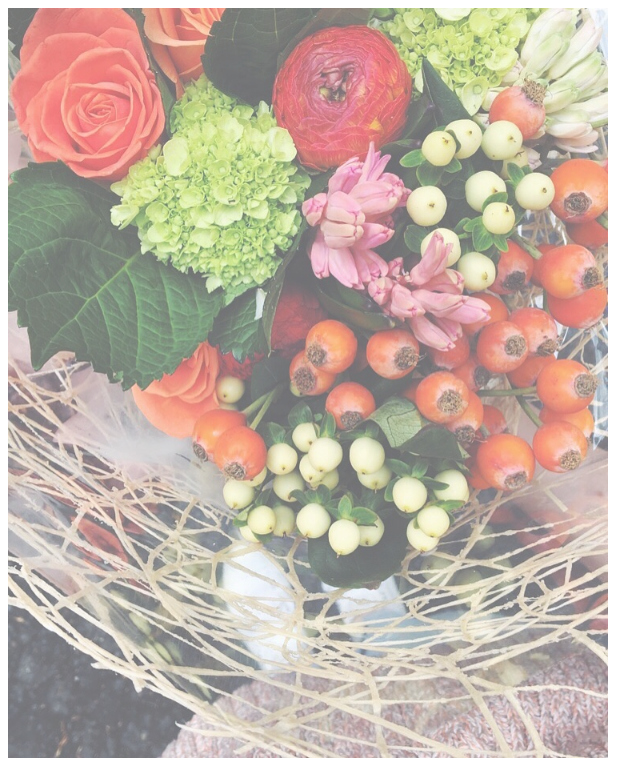 Screen Shot 2016-07-05 at 10.25.15 AM