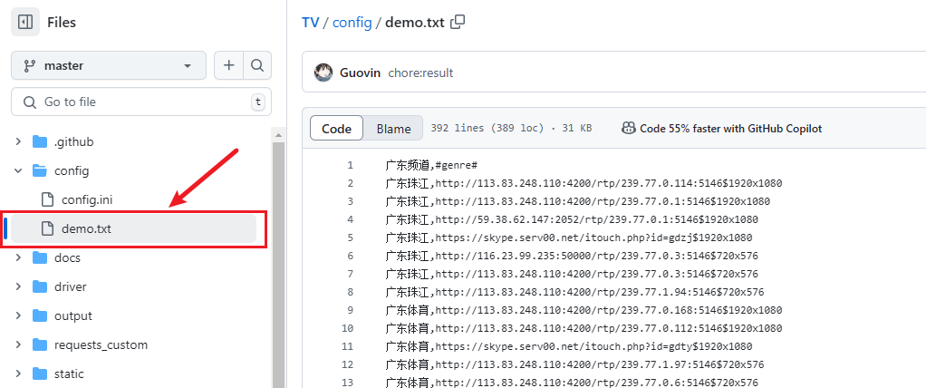 demo.txt入口 demo.txt入口