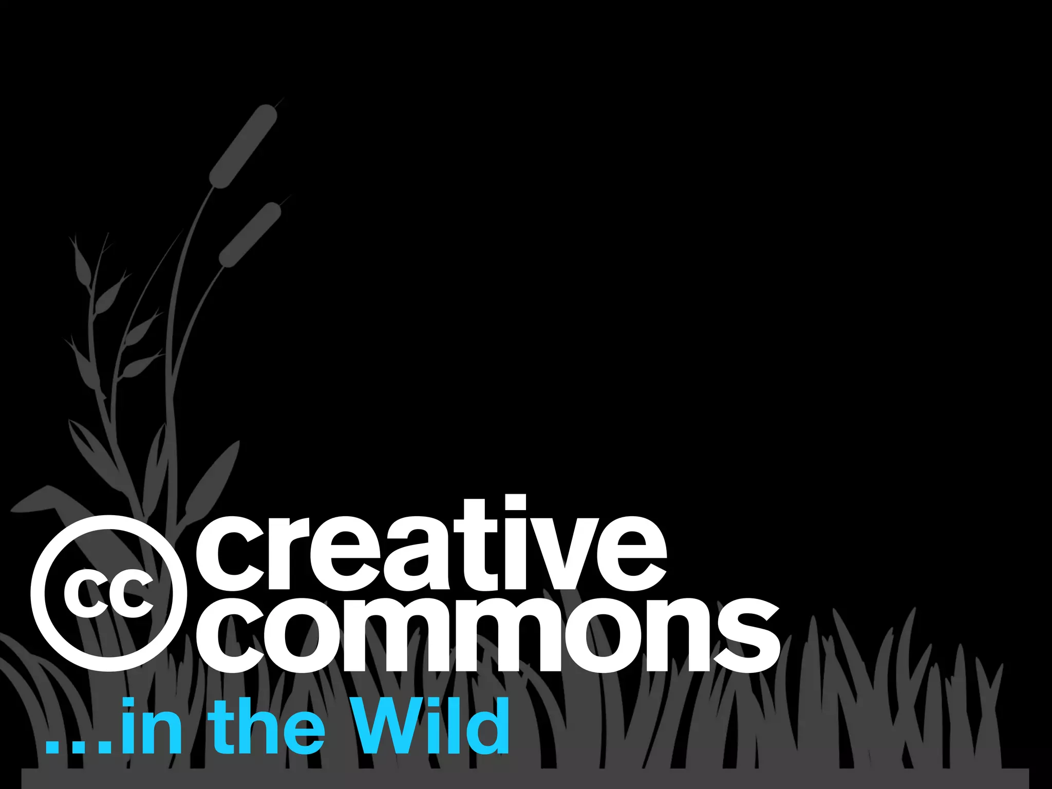 c






…in the Wild
 