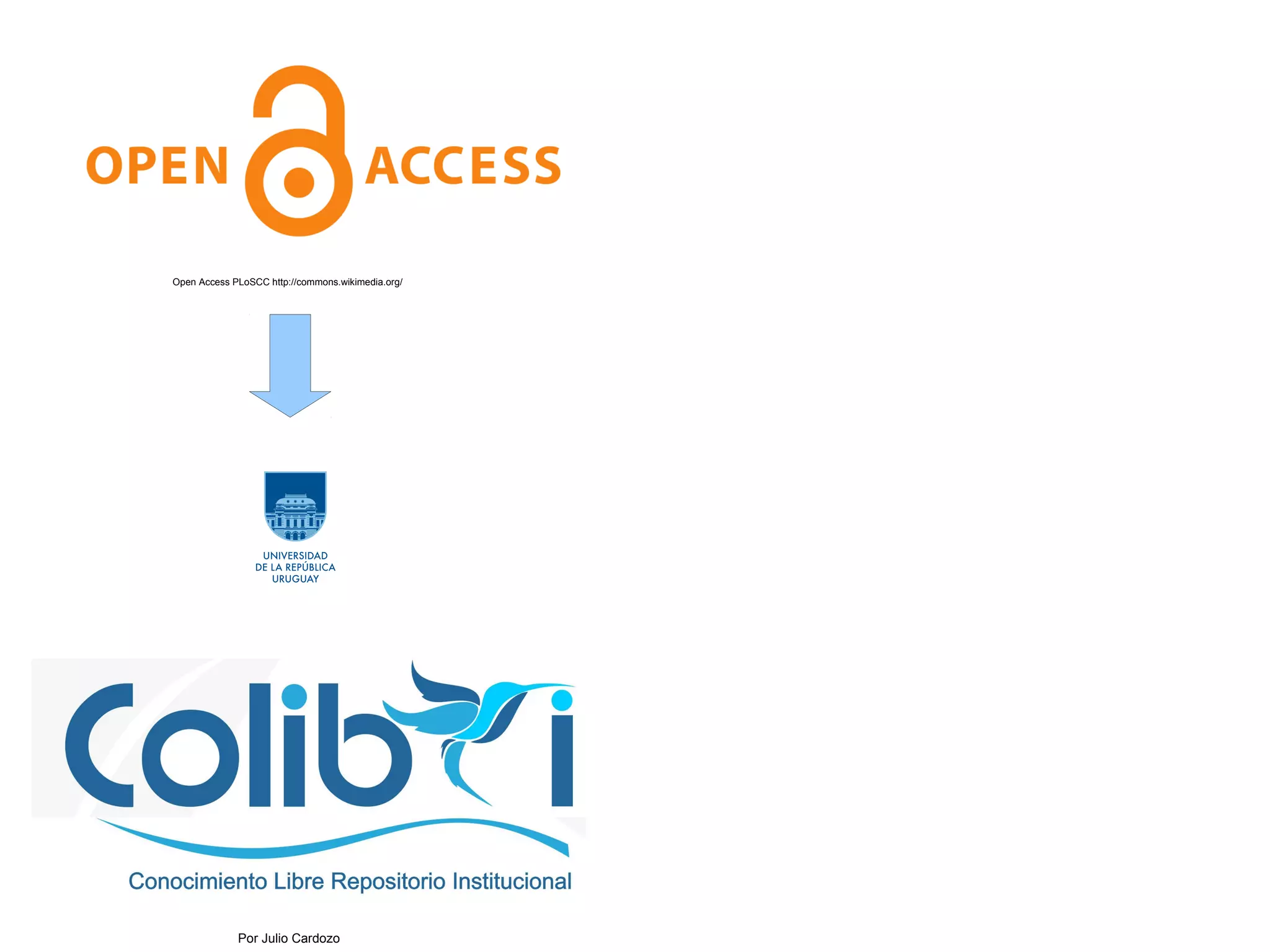 Open Access PLoSCC http://commons.wikimedia.org/ 
1. Título Sección 
Por Julio Cardozo 
 