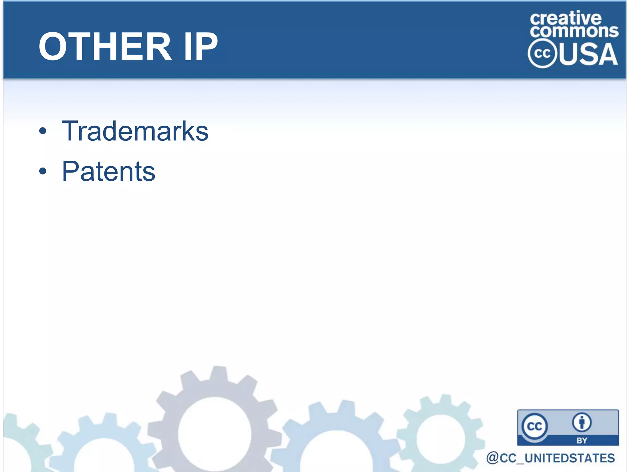 • Trademarks
• Patents
OTHER IP
 