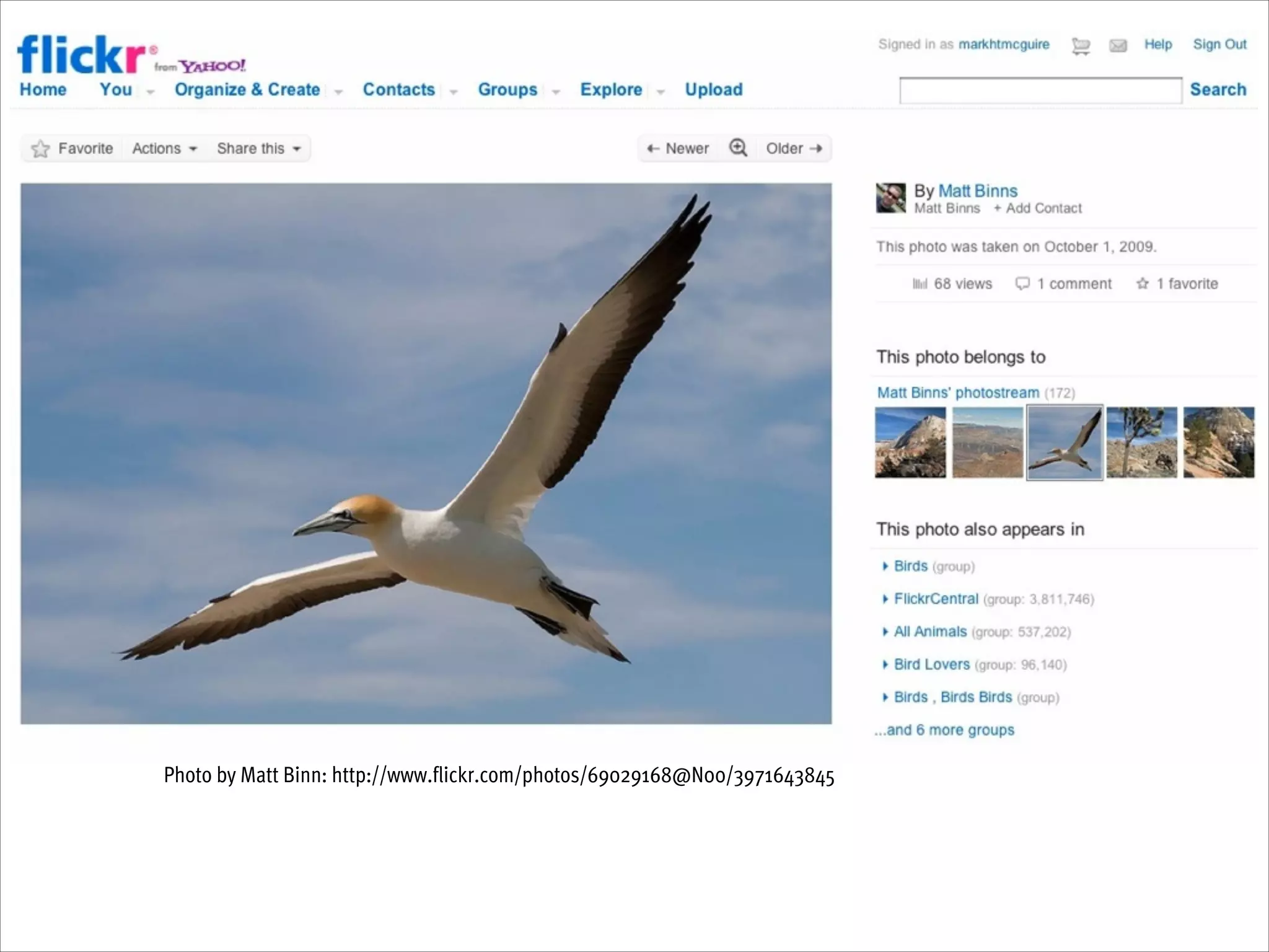 Photo by Matt Binn: http://www.flickr.com/photos/69029168@N00/3971643845

 