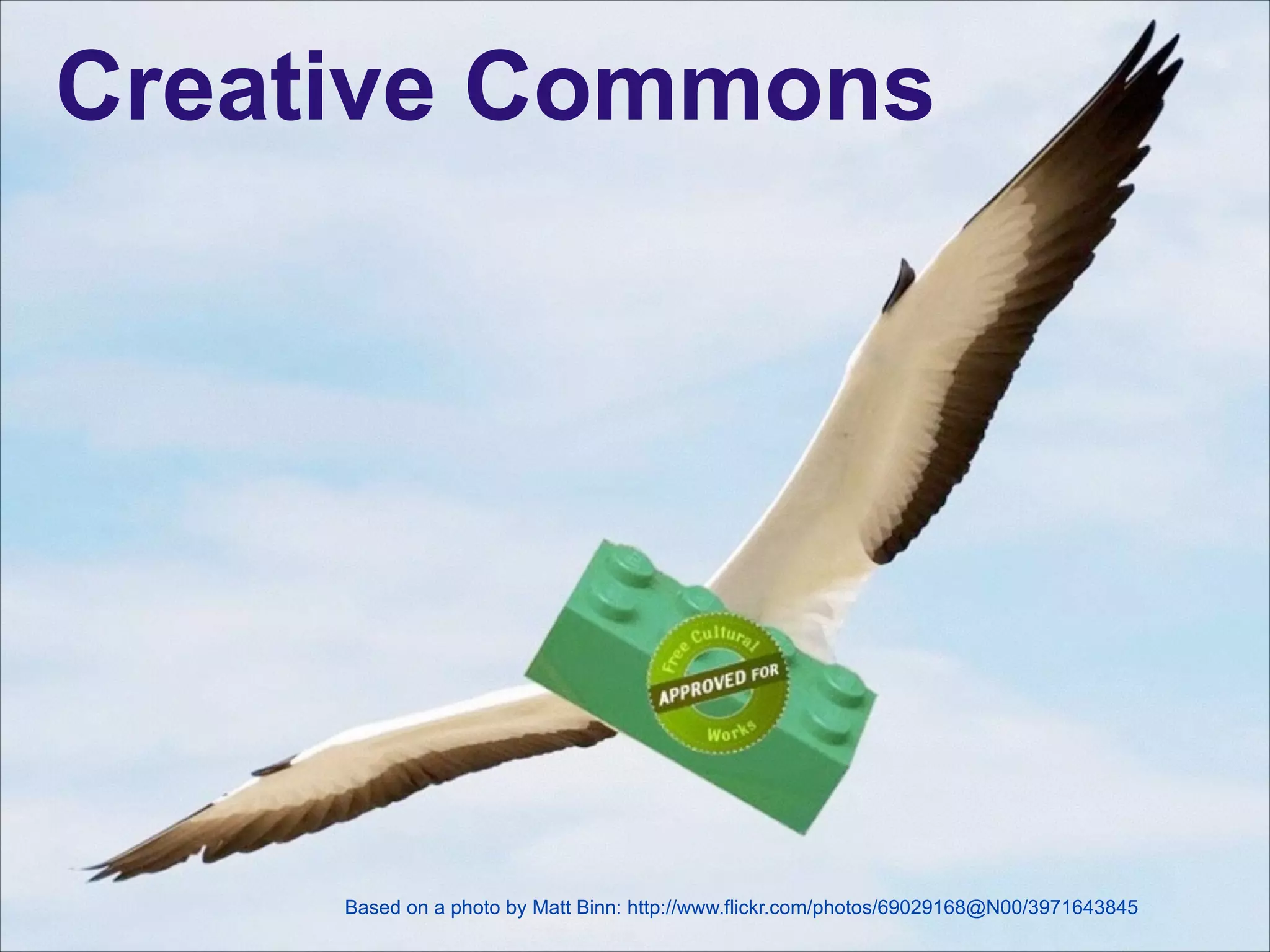 Creative Commons
!
!
!
!
!
!

Based on a photo by Matt Binn: http://www.flickr.com/photos/69029168@N00/3971643845

 