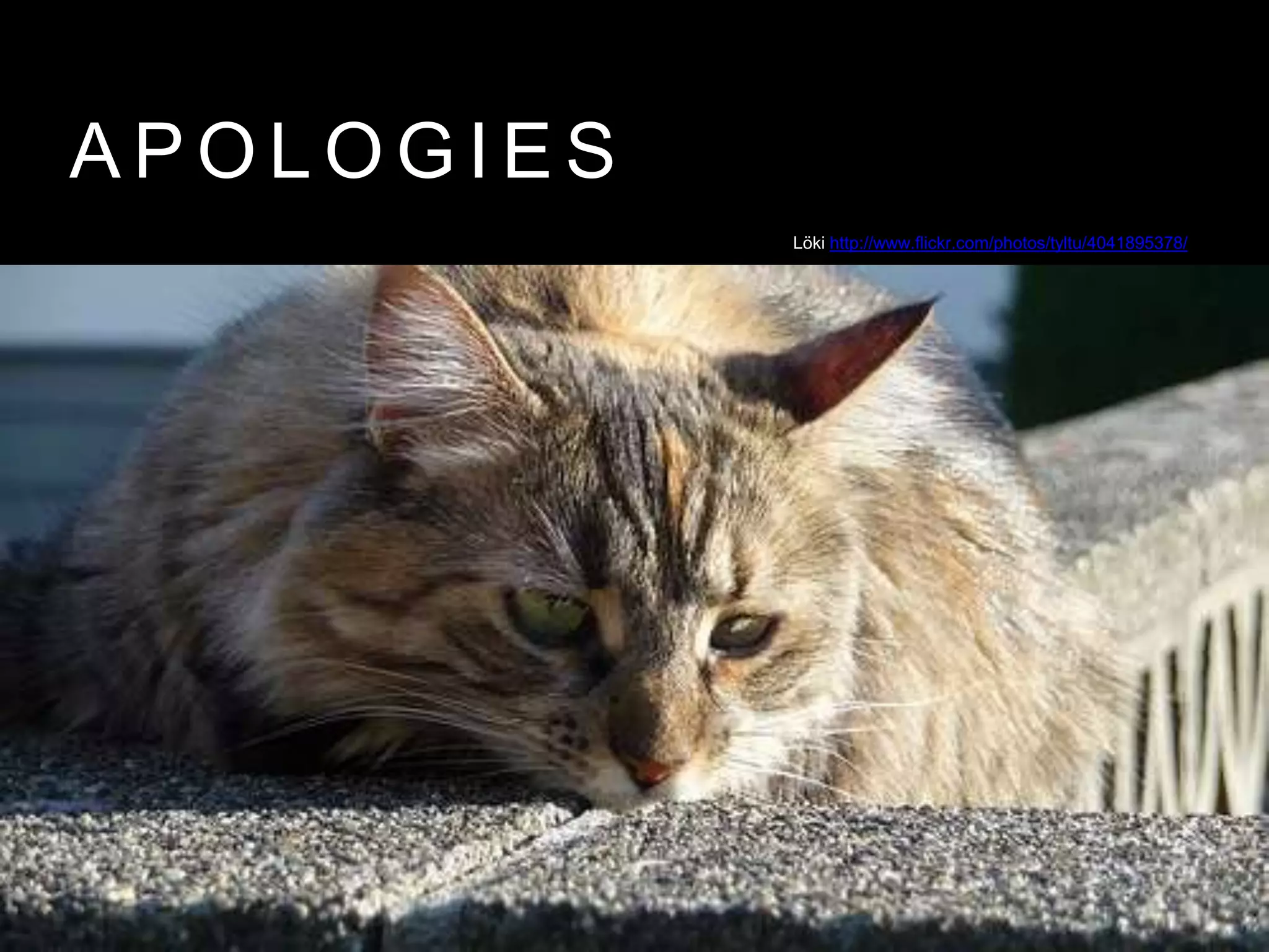 A P O L O G I E S
Löki http://www.flickr.com/photos/tyltu/4041895378/
 