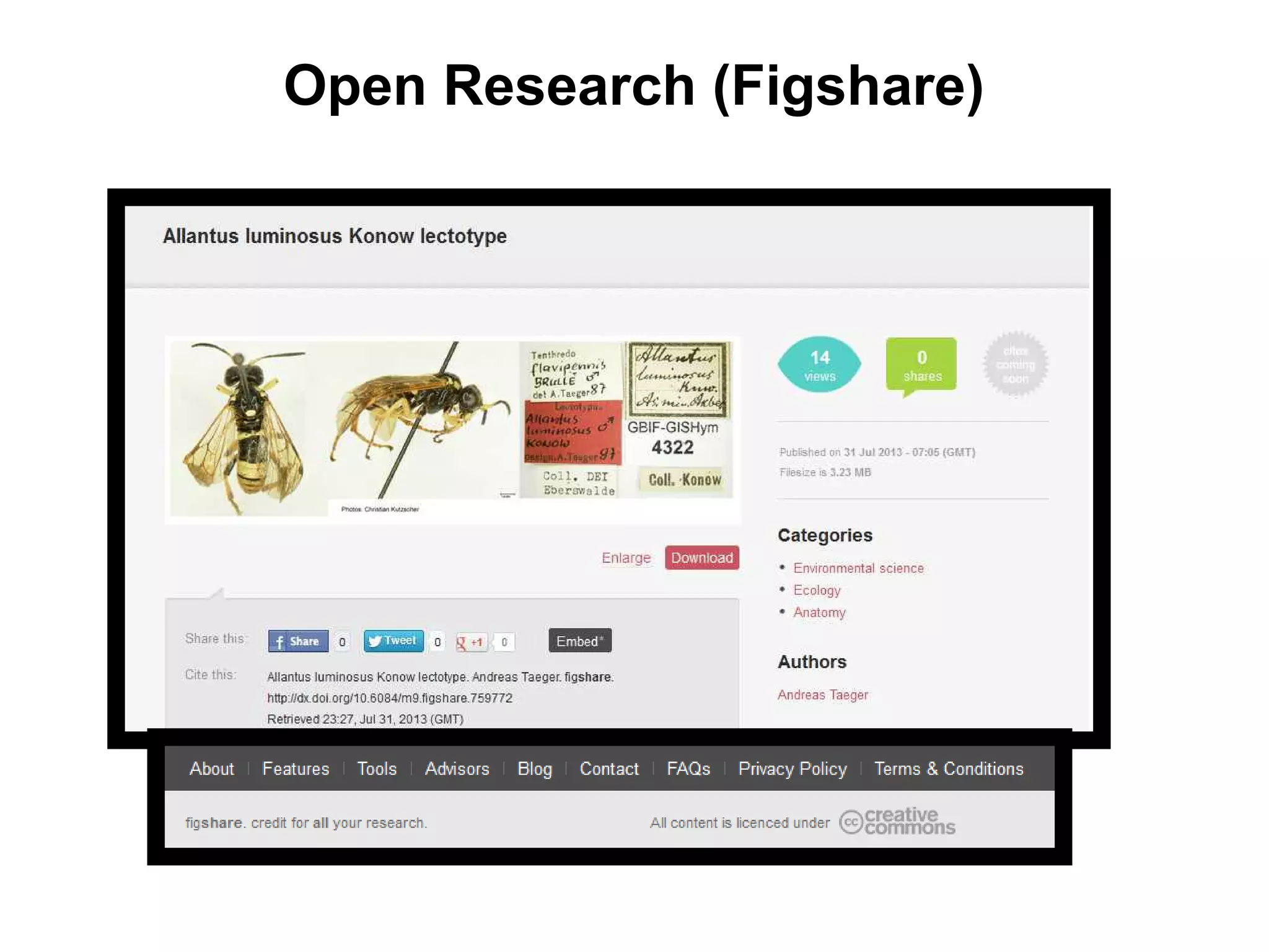 Open Research (Figshare)
 