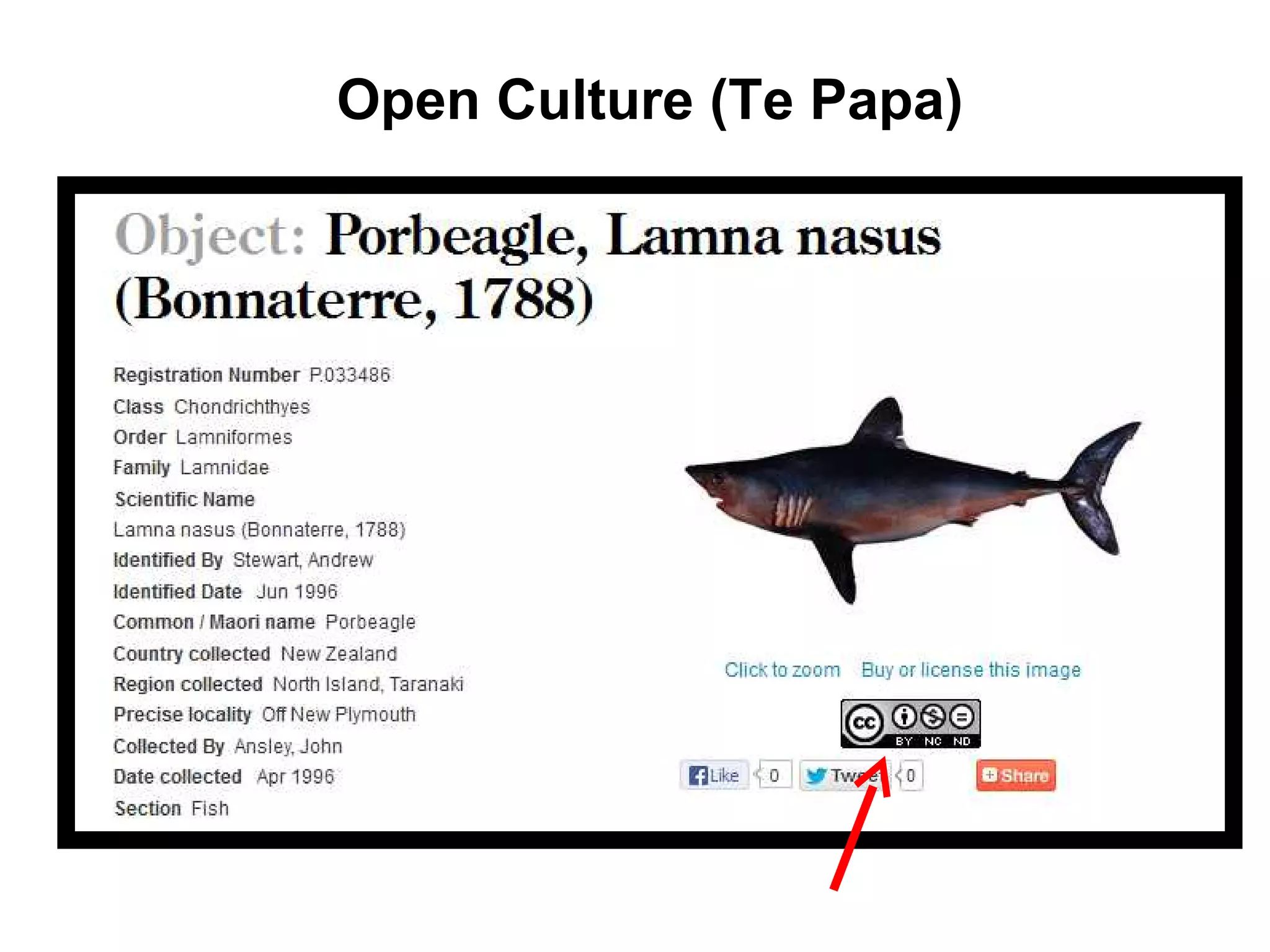 Open Culture (Te Papa)
 
