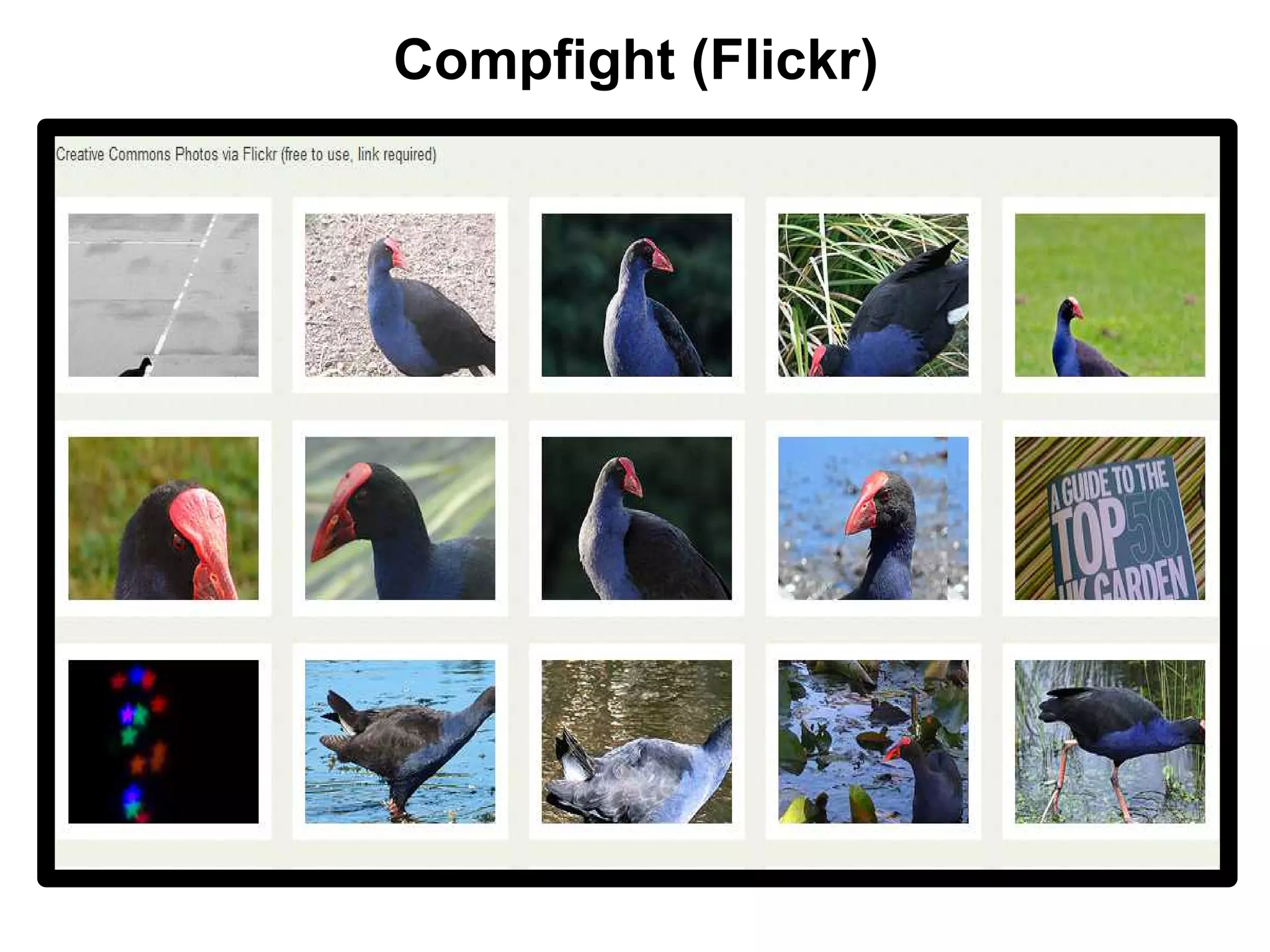 Compfight (Flickr)
 