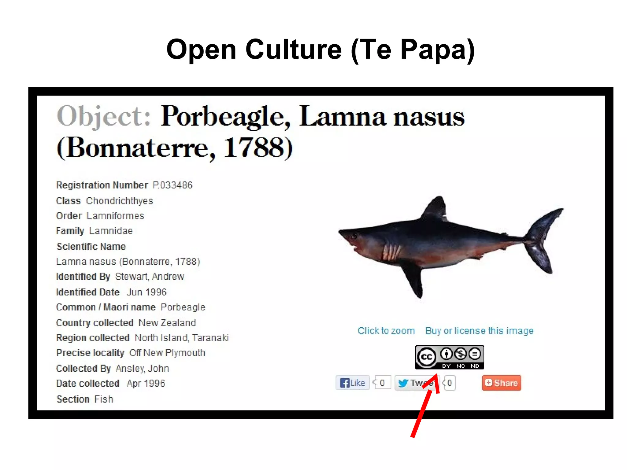 Open Culture (Te Papa)
 
