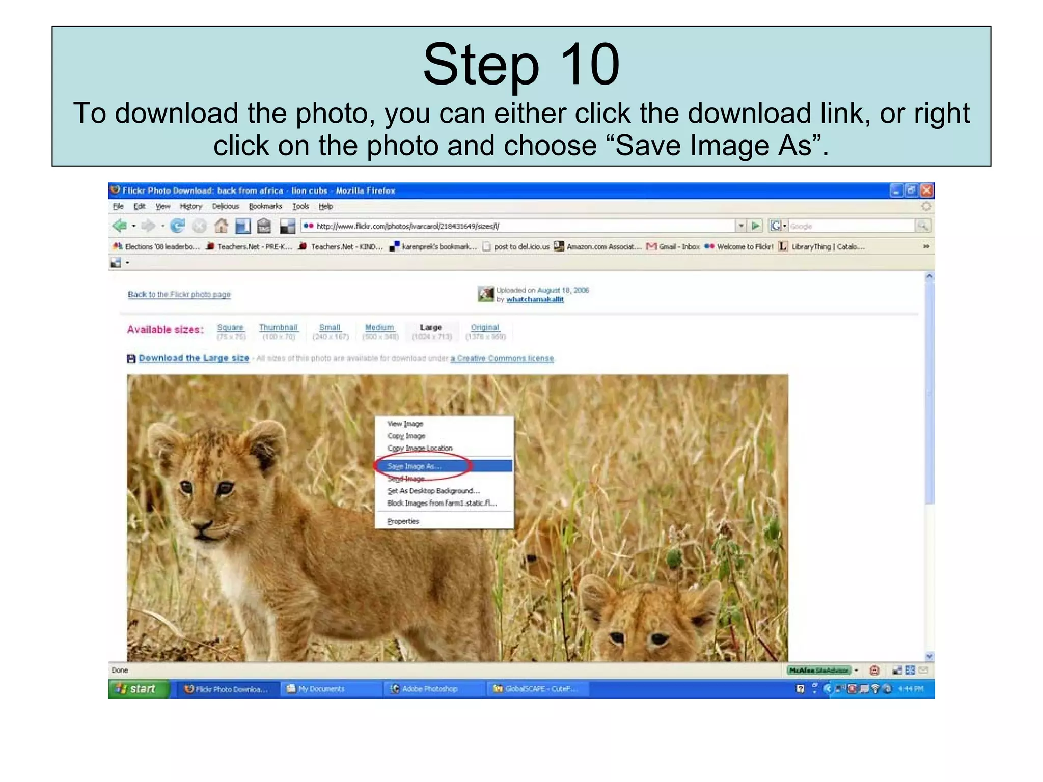 Step 10 To download the photo, you can either click the download link, or right click on the photo and choose “Save Image As”. 