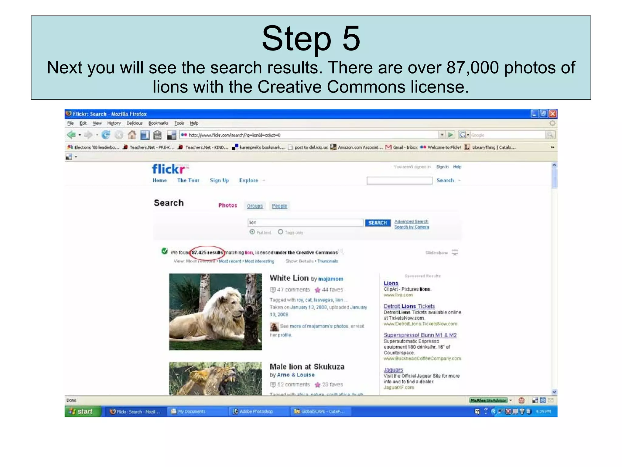 Step 5 Next you will see the search results. There are over 87,000 photos of lions with the Creative Commons license. 