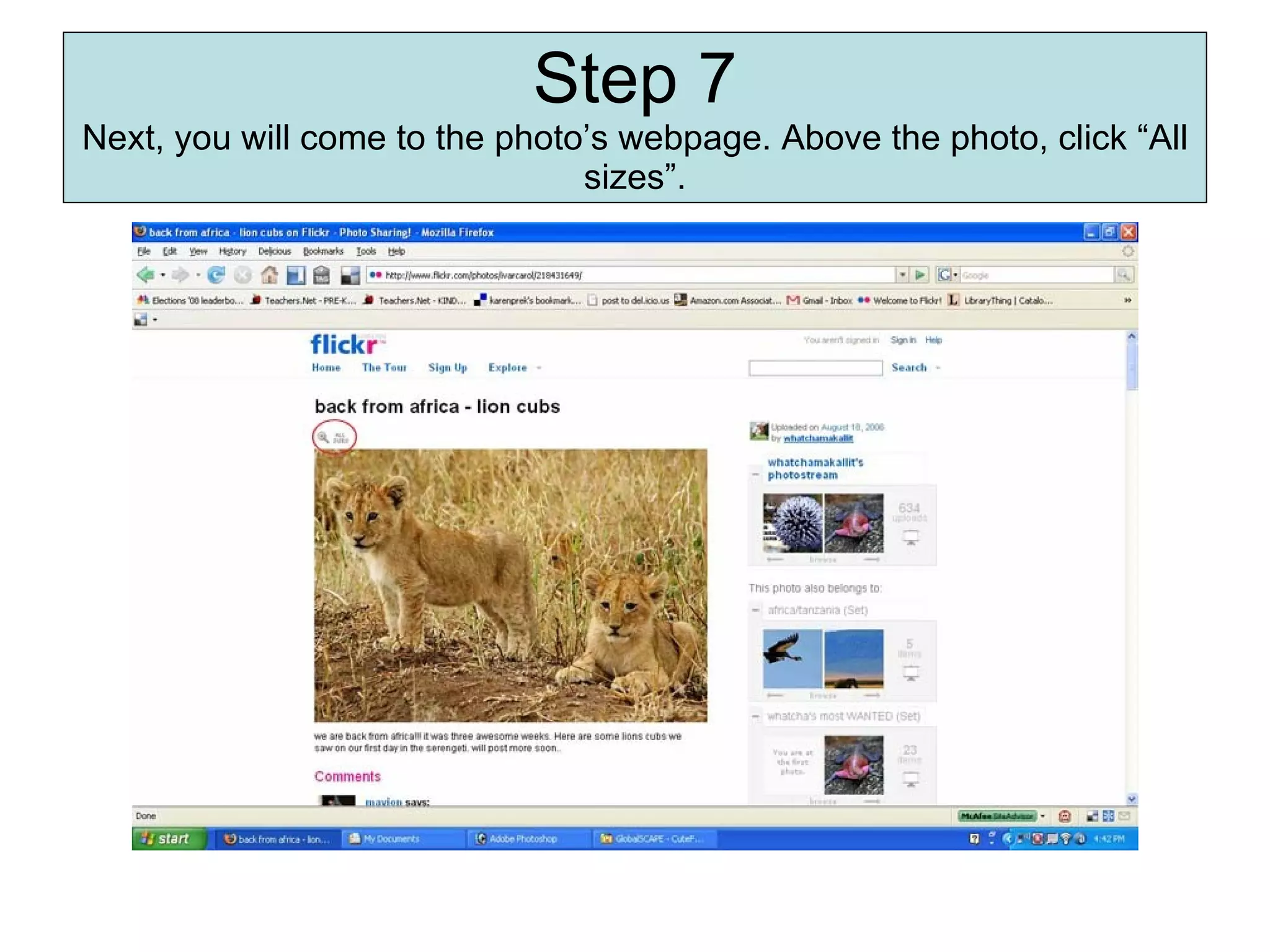 Step 7 Next, you will come to the photo’s webpage. Above the photo, click “All sizes”. 