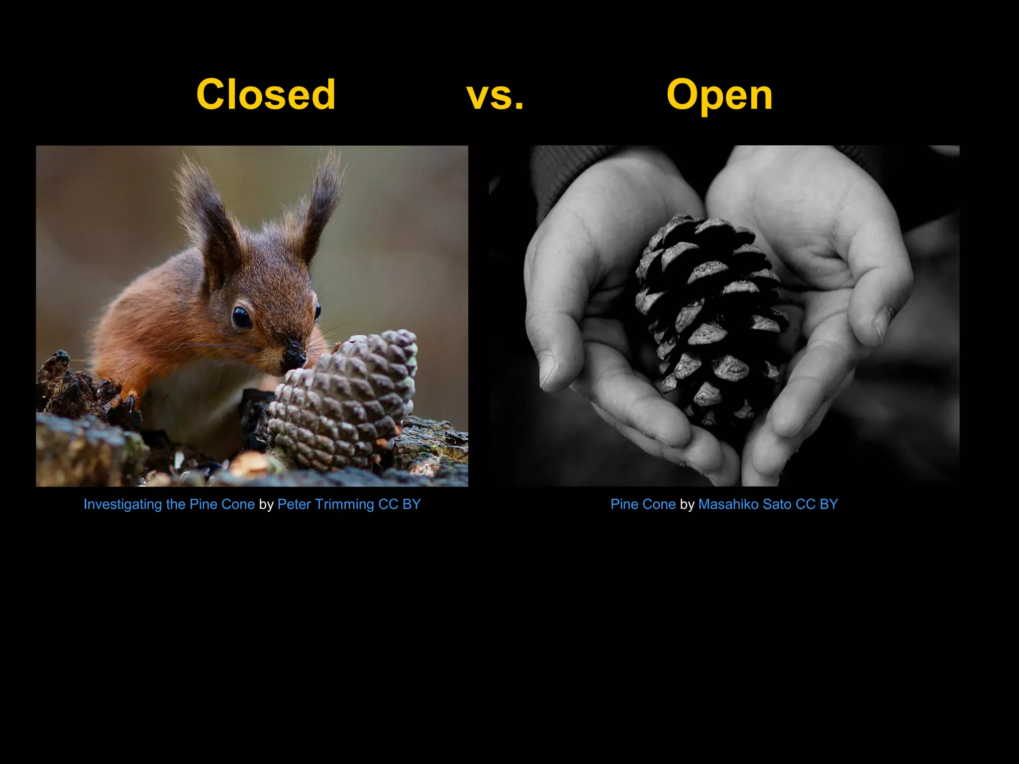 Closed

Investigating the Pine Cone by Peter Trimming CC BY

vs.

Open

Pine Cone by Masahiko Sato CC BY

 