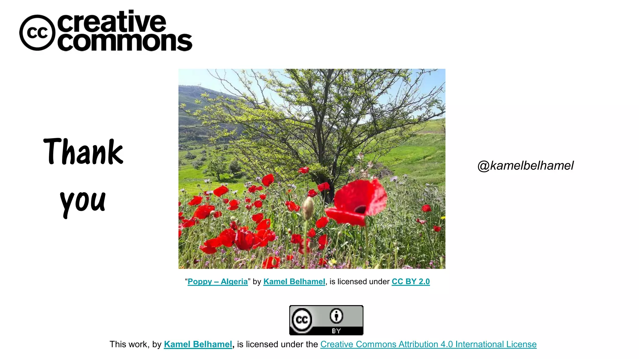 This work, by Kamel Belhamel, is licensed under the Creative Commons Attribution 4.0 International License
“Poppy – Algeria” by Kamel Belhamel, is licensed under CC BY 2.0
Thank
you
@kamelbelhamel
 