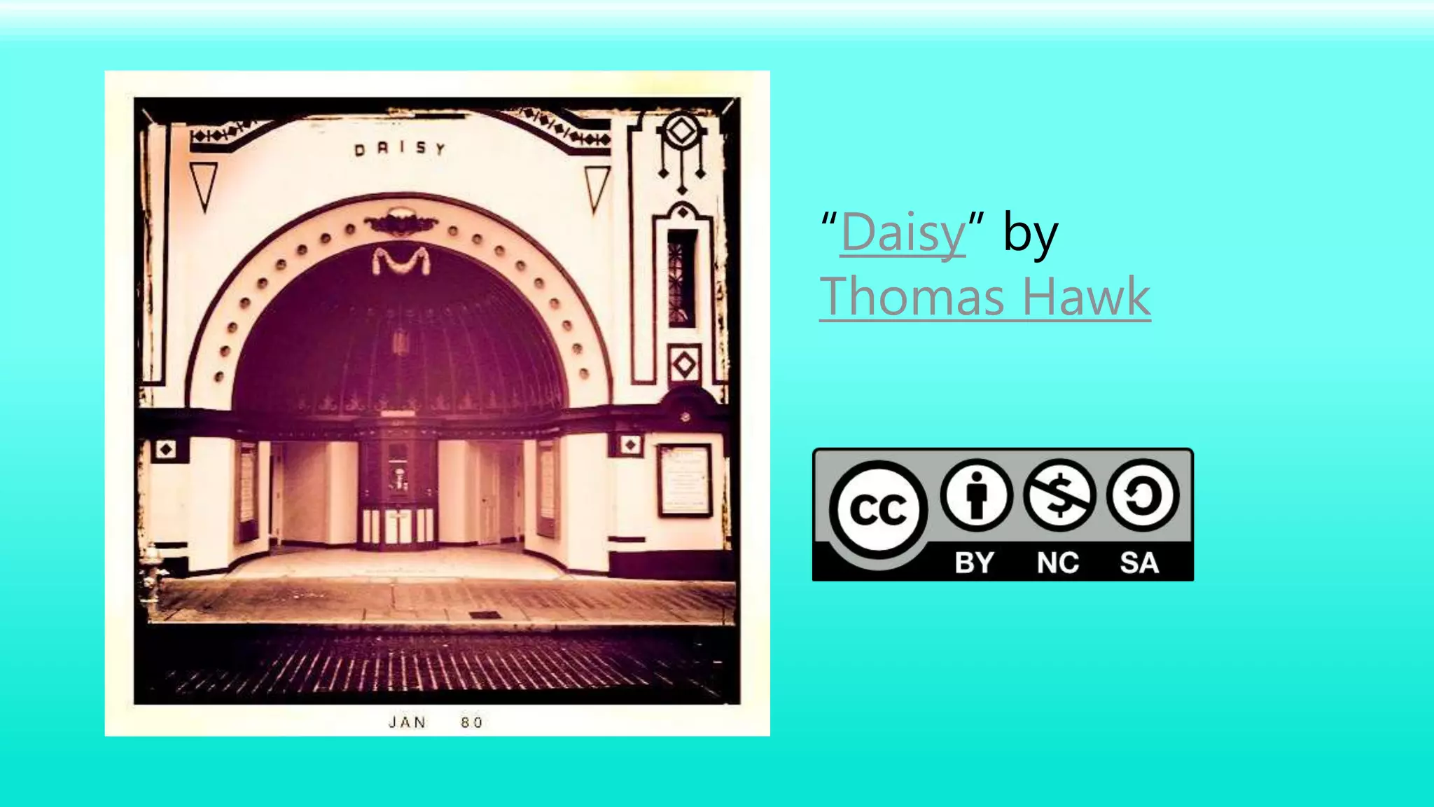 “Daisy” by
Thomas Hawk
 