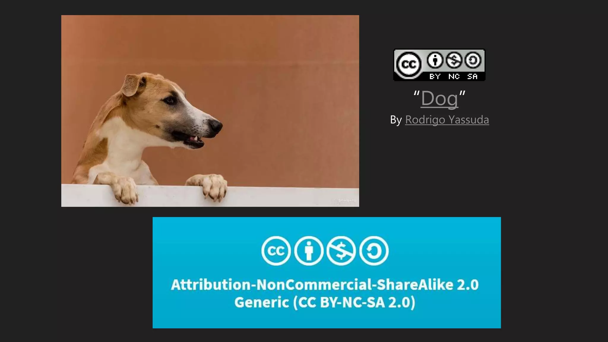 “Dog”
By Rodrigo Yassuda
 