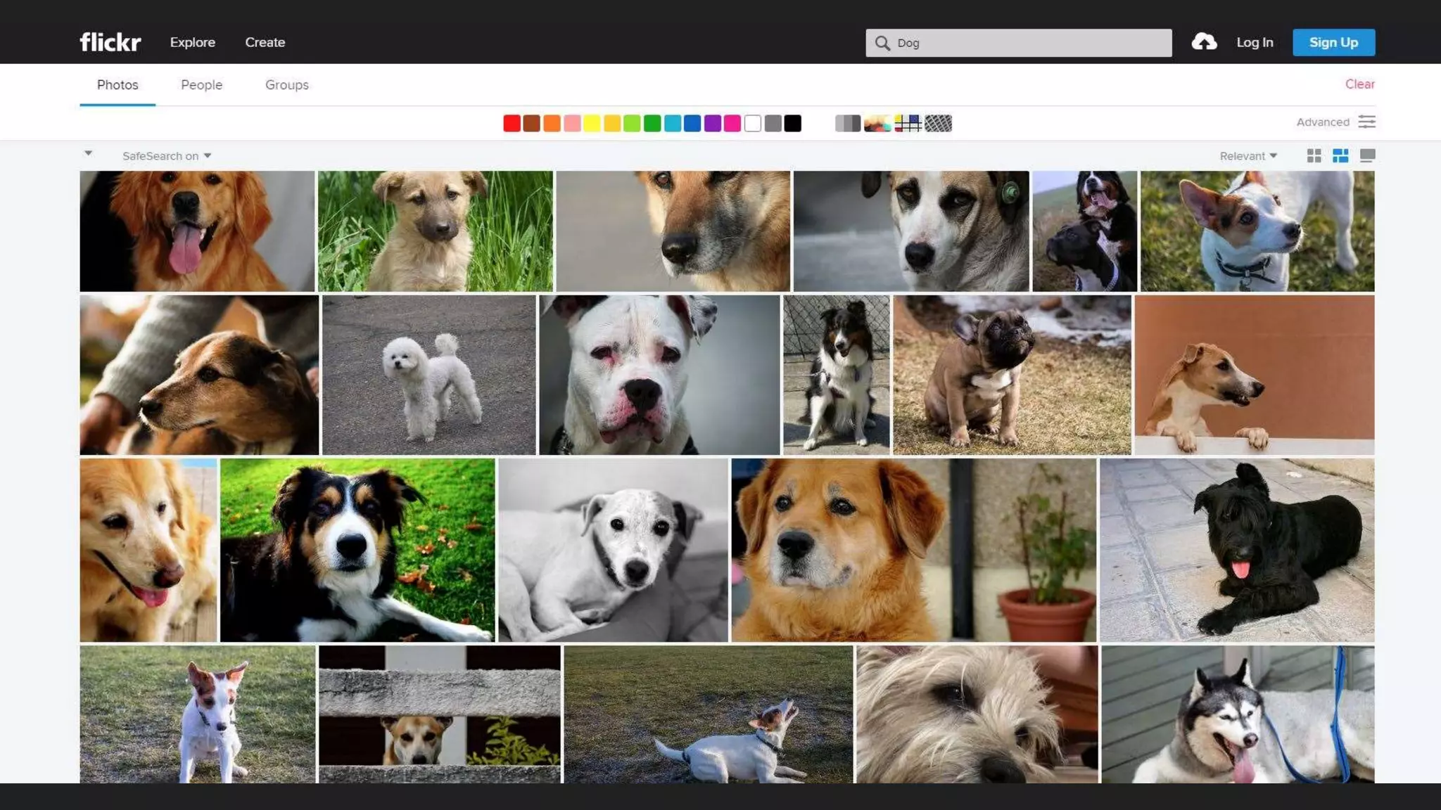 This work, “Squirrel Dog”,
is a derivative of “Dog” by
Rodrigo Yassuda , used by
CC BY NC SA. “Squirrel
Dog is licensed under CC
BY NC SA by Heather
Seibert.
CC license must be under the same as the original.
 