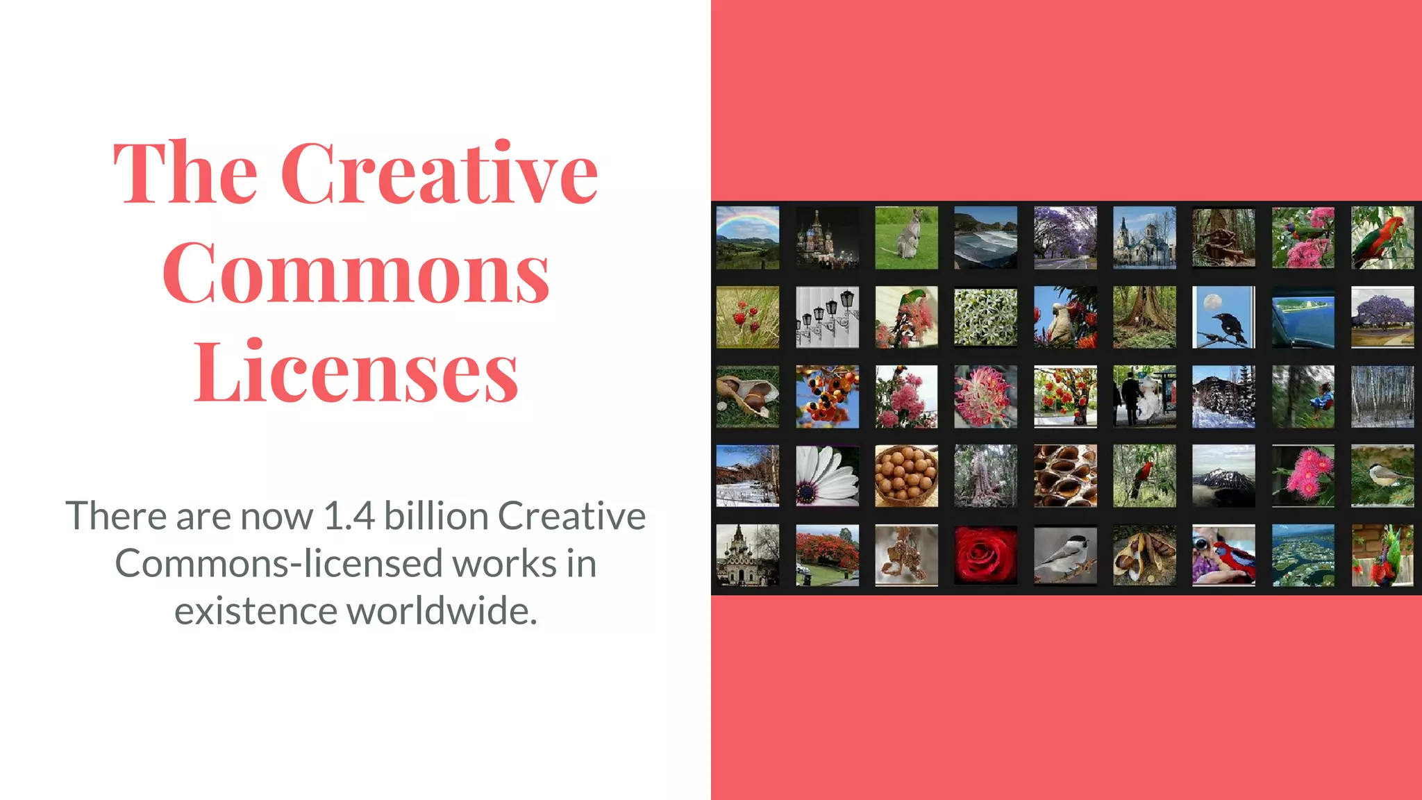 The Creative
Commons
Licenses
There are now 1.4 billion Creative
Commons-licensed works in
existence worldwide.
 