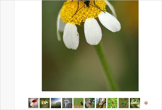 css-tips10 css-tips10