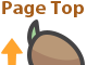 Page Top
