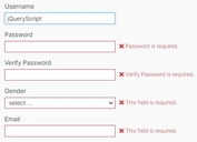 Powerful Multilingual Form Validation Plugin - jQuery Nice Validator
